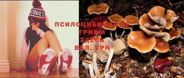 дурь Каменск-Шахтинский