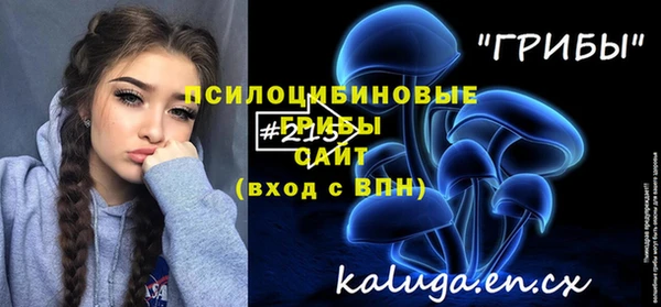 MESCALINE Каменка