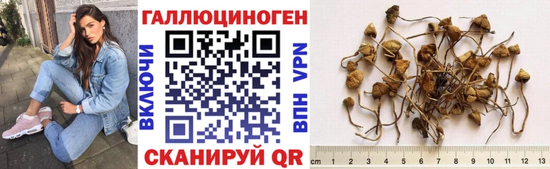 Псилоцибиновые грибы прущие грибы  Купить  Дагестанские Огни 
