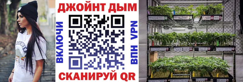Бошки Шишки AK-47  Купить где  Дагестанские Огни 